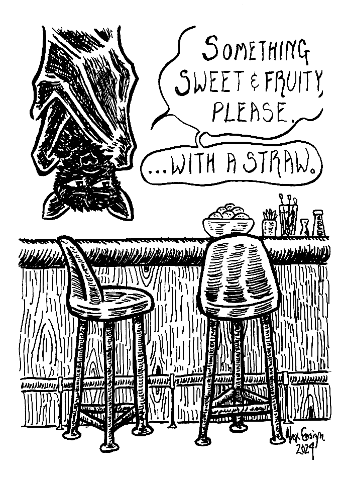 cocktail comic featuring a bat ordering a drink at a bar